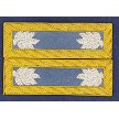 5. Lieutenant Colonel 