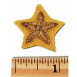Measured 
