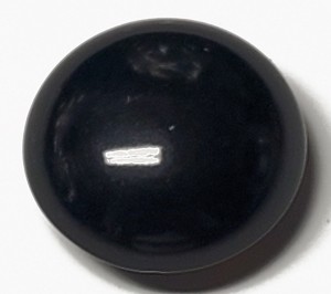 Vegetable Ivory Button 